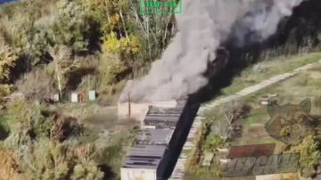 Енот из Херсона: Херсон. Активные действия на Карантинном острове продолжаются