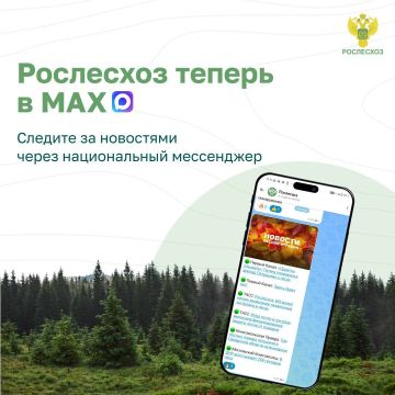 Рослесхоз теперь в МАХ!. Оставаться в курсе новостей в лесной отрасли стало еще проще