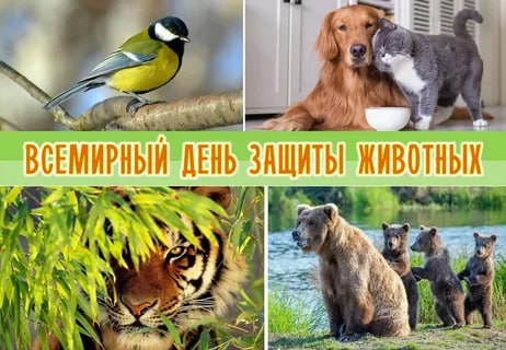 Сегодня, 30 октября, мы отмечаем Всемирный день защиты прав животных