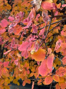  , !.   - !   ,    , 30  1696 ,      I      :  ...