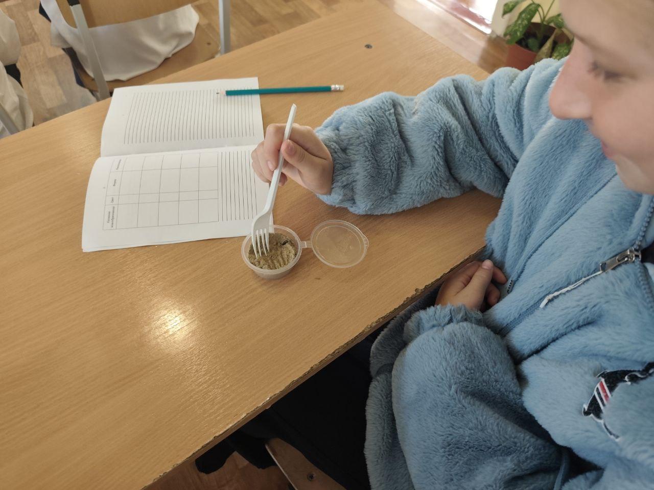 Юные лесничие изучают почвы заповедных территорий Юные лесничие изучают почвы заповедных территорий