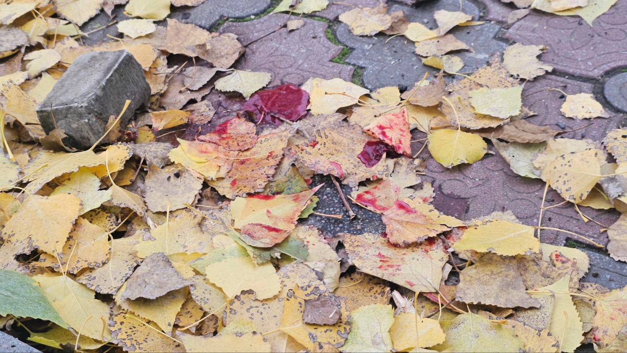 А на том берегу.... Правобережье Херсонщины: вечерний обзор новостей (дополняется) По обстрелам и пострадавшим А на том берегу.... Правобережье Херсонщины: вечерний обзор новостей (дополняется) По обстрелам и пострадавшим