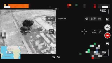 ... .           ..,       2 