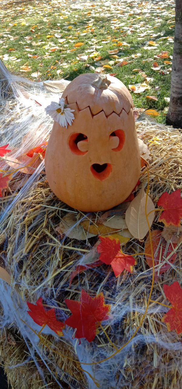 Хэллоуин: когда даже тыквы боятся темноты! Хэллоуин: когда даже тыквы боятся темноты!