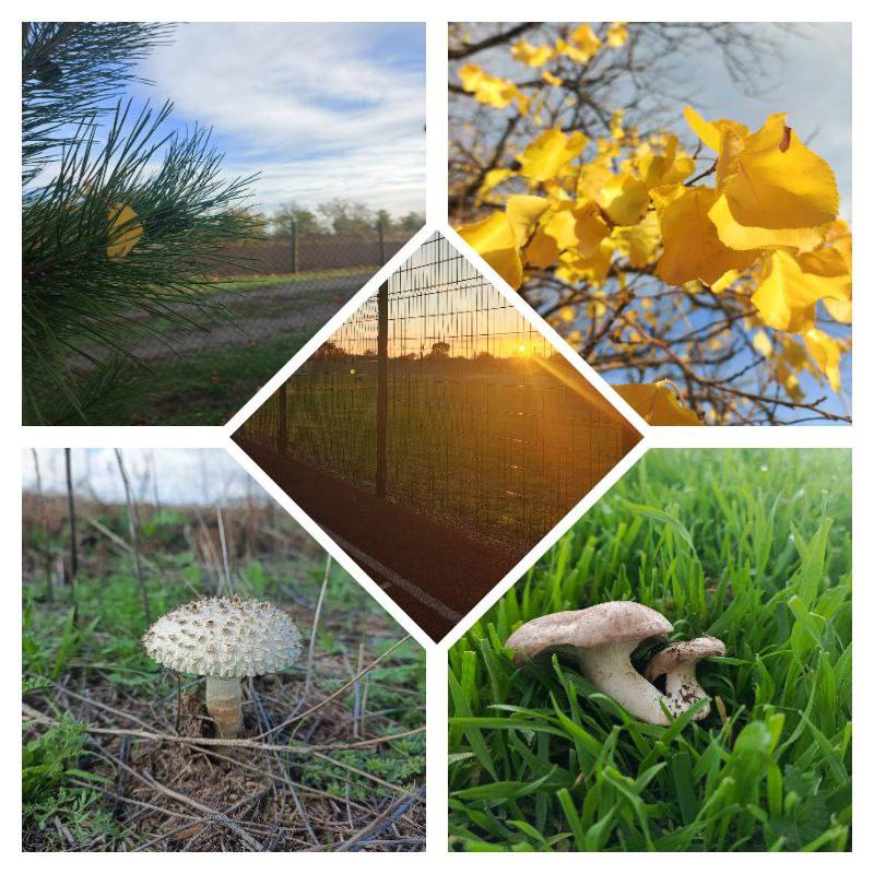 Первые на каникулах. Мы продолжаем нашу рубрику о жизни активистов на каникулах Первые на каникулах. Мы продолжаем нашу рубрику о жизни активистов на каникулах