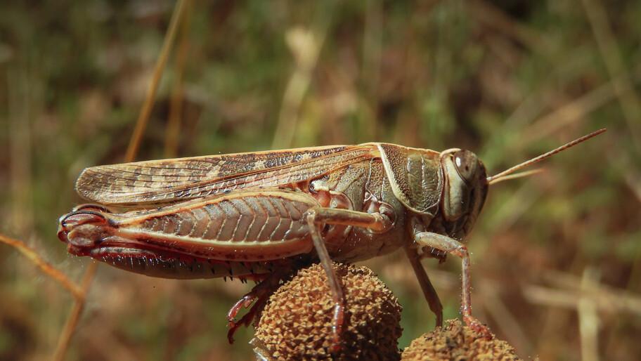 Рязанцы передали гуманитарную помощь в Павловский ясли-сад Рязанцы передали гуманитарную помощь в Павловский ясли-сад