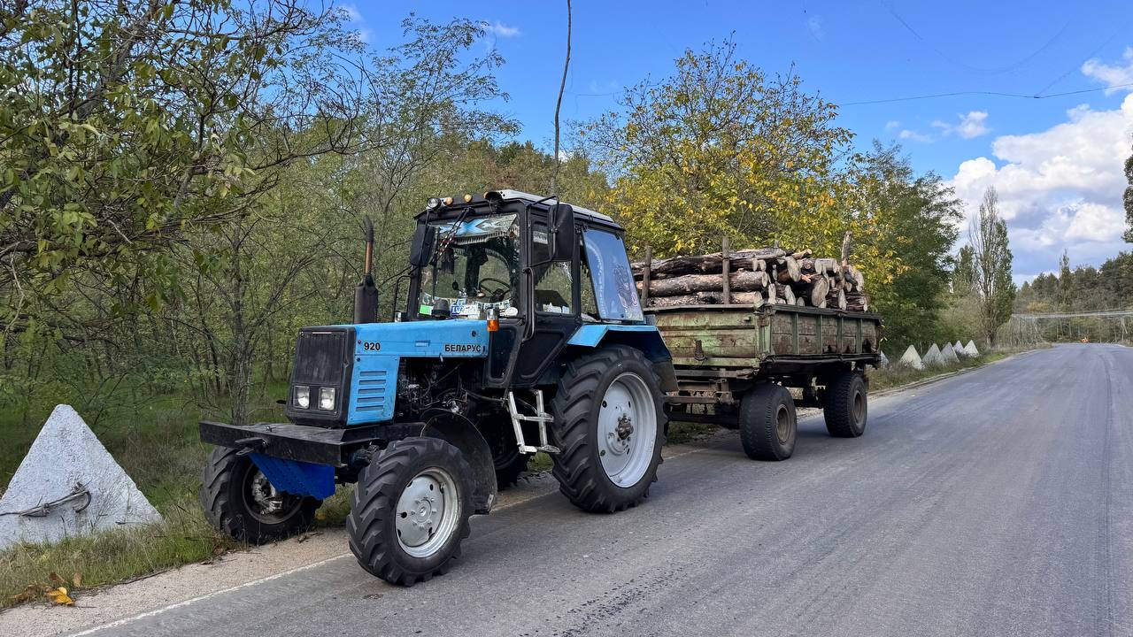 В лесных массивах провели ревизию санитарных рубок В лесных массивах провели ревизию санитарных рубок