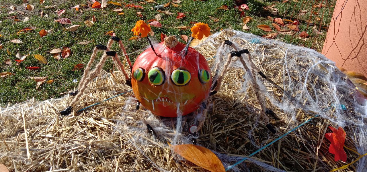 Хэллоуин: когда даже тыквы боятся темноты! Хэллоуин: когда даже тыквы боятся темноты!