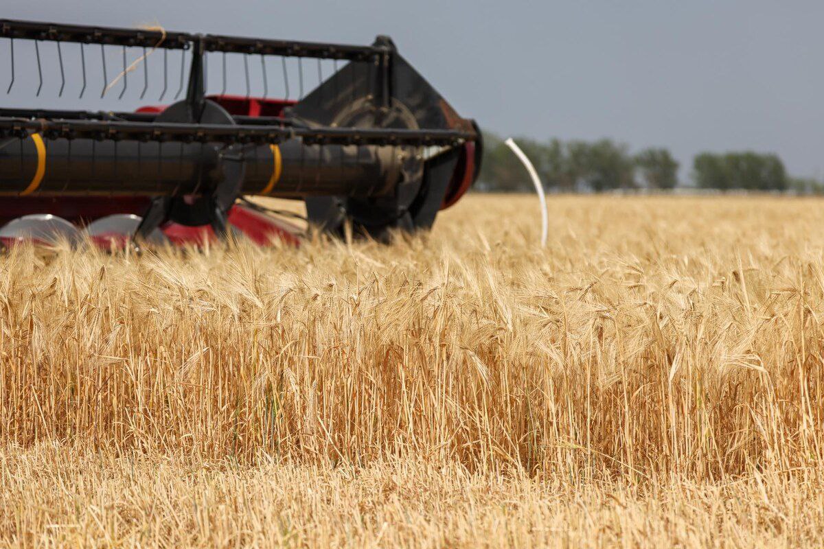 Херсонские аграрии получат около 1,5 млрд рублей господдержки