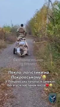 Грустное *хрю* с Покровска