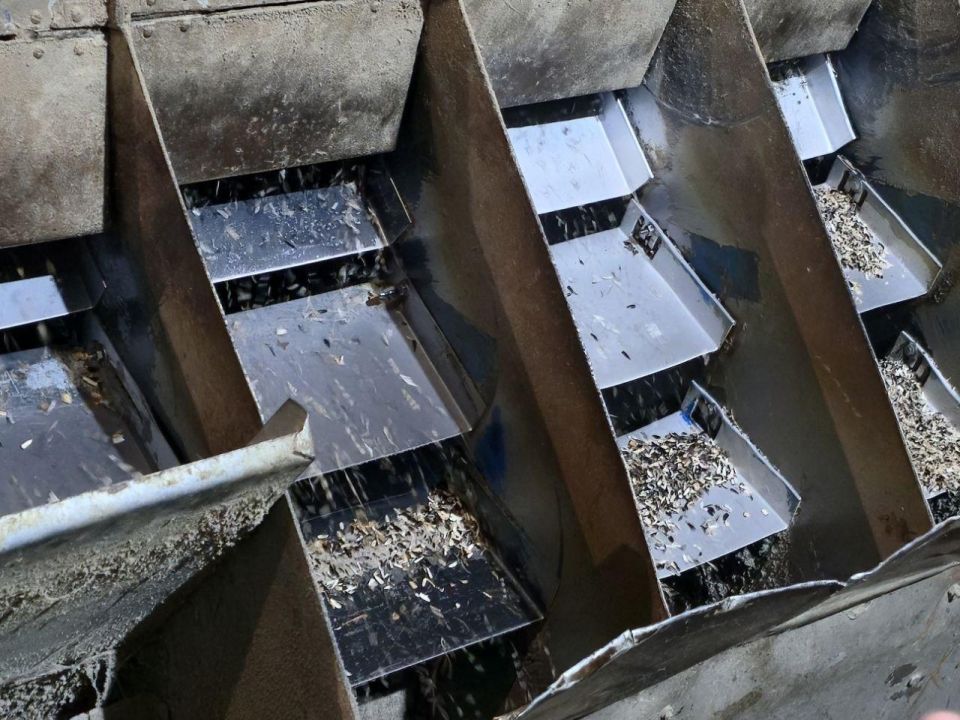 �������� �������� ���������������� ��� � ������ ��� ��������