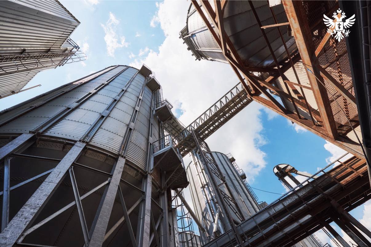 Как поддержка бизнеса обеспечила экономический рост в Херсонской области