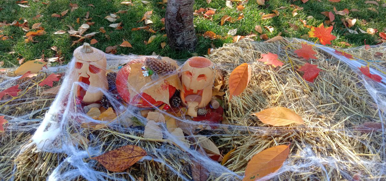 Хэллоуин: когда даже тыквы боятся темноты!