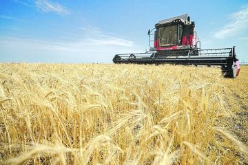 1 В Херсонской области засеют 566 тыс