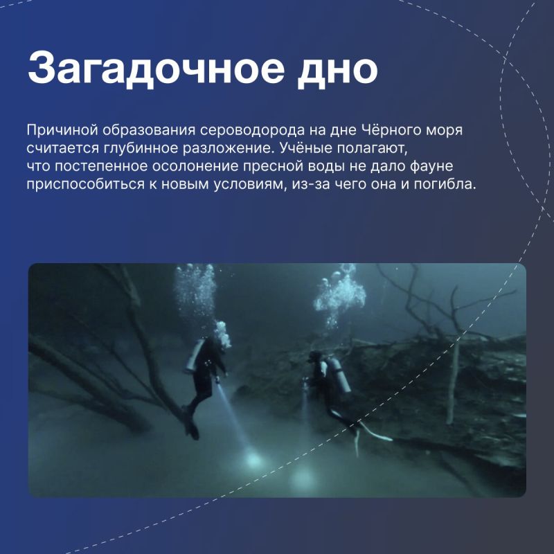 Ласковое море с суровым характером Ласковое море с суровым характером