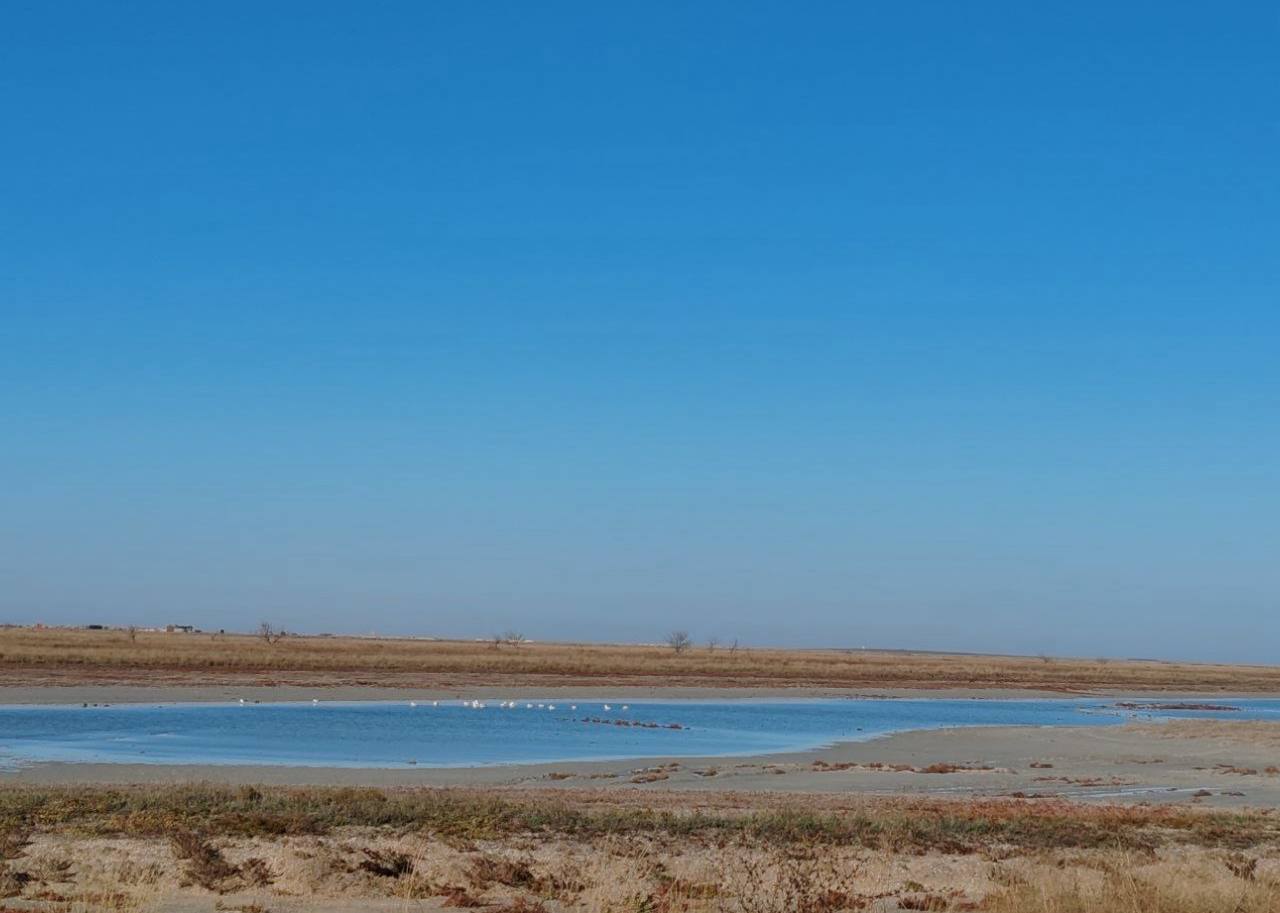 Игорь Кастюкевич: Родная Херсонщина!. В каждом регионе нашей большой и невероятно красивой страны, она ощущается по – разному Игорь Кастюкевич: Родная Херсонщина!. В каждом регионе нашей большой и невероятно красивой страны, она ощущается по – разному