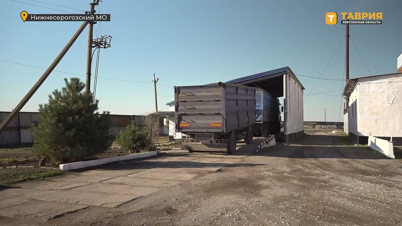 В честь Дня инженера Минпромторг Херсонской области организовал экскурсию студентов технических специальностей на Нижнесерогозский маслопрессовый завод