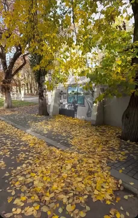 А завтра уже ноябрь…. Подпишись на Херсон.ру