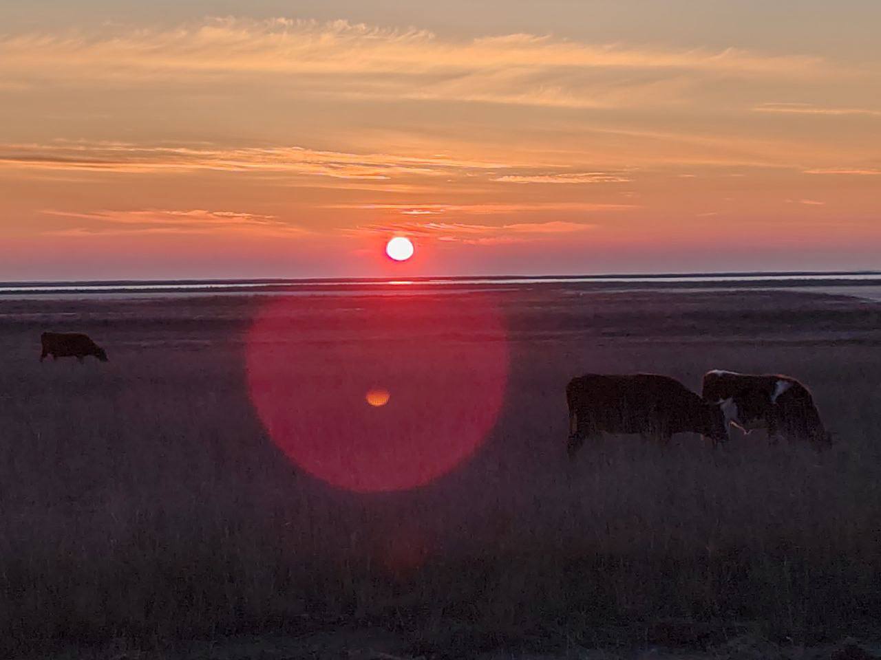 Игорь Кастюкевич: Родная Херсонщина!. В каждом регионе нашей большой и невероятно красивой страны, она ощущается по – разному Игорь Кастюкевич: Родная Херсонщина!. В каждом регионе нашей большой и невероятно красивой страны, она ощущается по – разному