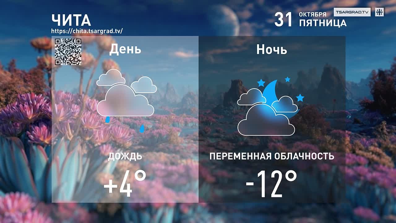 Цветут бархотки прямо у порога