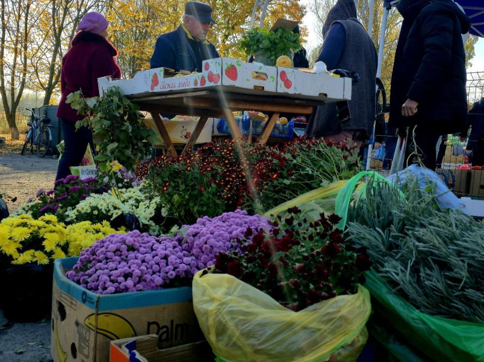 В муниципальном округе Нижние Серогозы состоялась 1950-я сельскохозяйственная ярмарка В муниципальном округе Нижние Серогозы состоялась 1950-я сельскохозяйственная ярмарка