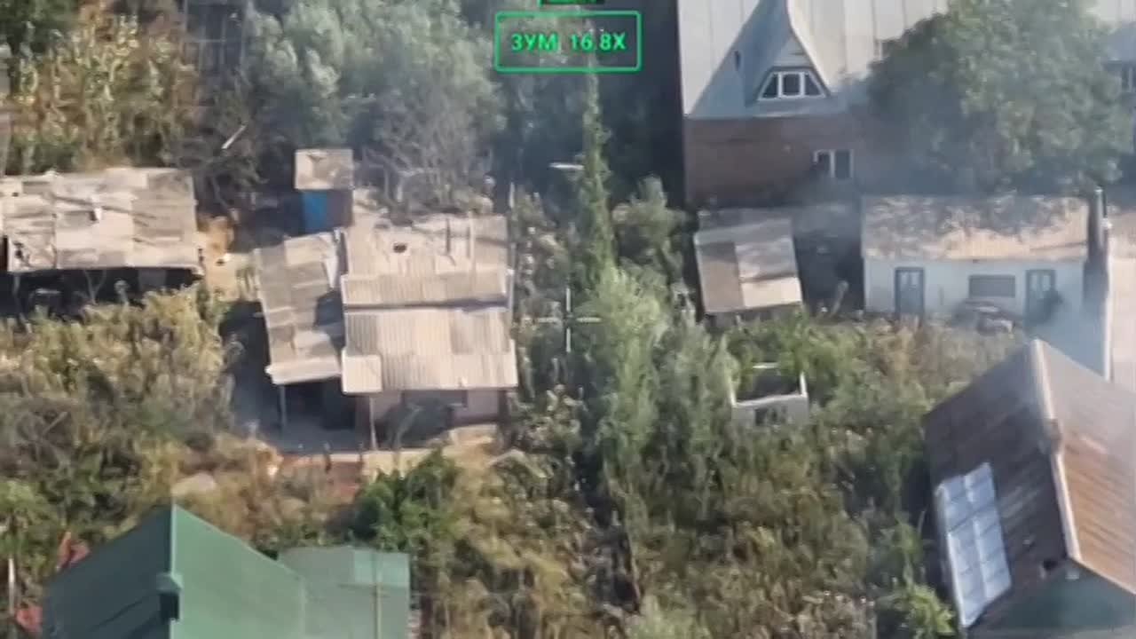 Енот из Херсона: Про остров Карантинный. Слушайте, жители города Херосон, давайте уже называть вещи своими именами