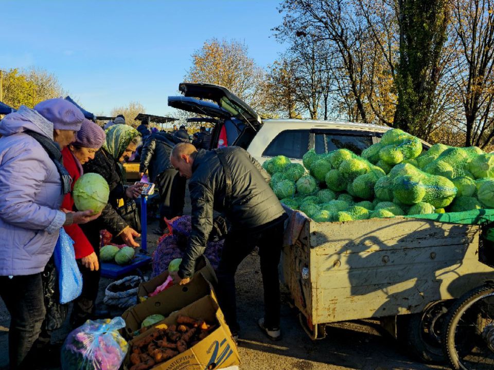 В муниципальном округе Нижние Серогозы состоялась 1950-я сельскохозяйственная ярмарка В муниципальном округе Нижние Серогозы состоялась 1950-я сельскохозяйственная ярмарка