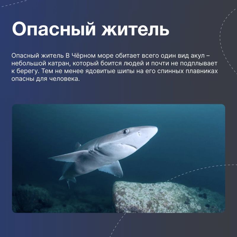 Ласковое море с суровым характером Ласковое море с суровым характером