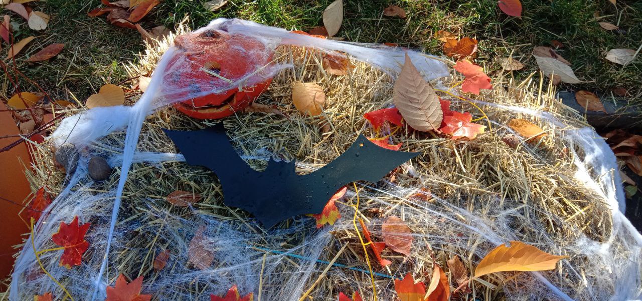 Хэллоуин: когда даже тыквы боятся темноты! Хэллоуин: когда даже тыквы боятся темноты!