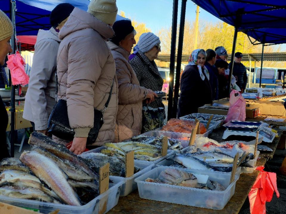 В муниципальном округе Нижние Серогозы состоялась 1950-я сельскохозяйственная ярмарка В муниципальном округе Нижние Серогозы состоялась 1950-я сельскохозяйственная ярмарка