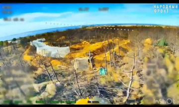 Енот из Херсона: Херсонское направление. Точный удар по врагу!