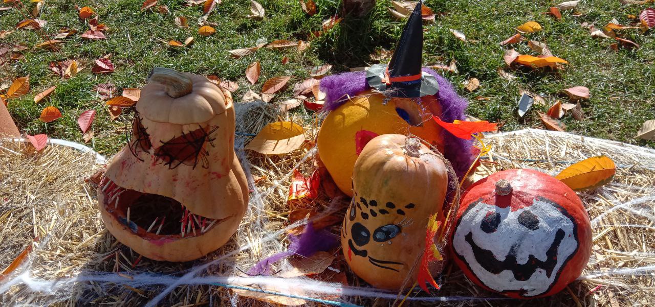 Хэллоуин: когда даже тыквы боятся темноты! Хэллоуин: когда даже тыквы боятся темноты!