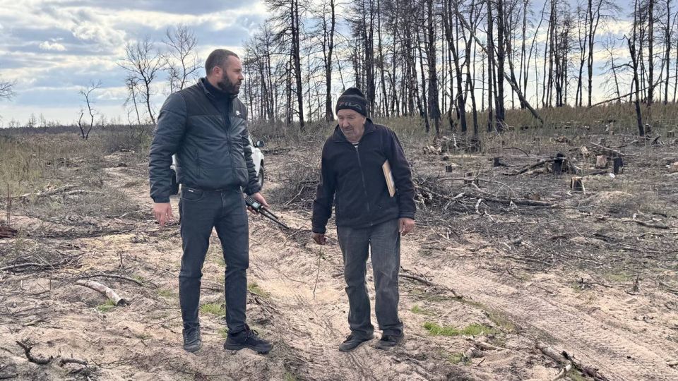 В лесных массивах провели ревизию санитарных рубок В лесных массивах провели ревизию санитарных рубок