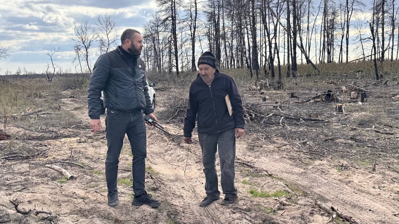 В лесных массивах провели ревизию санитарных рубок В лесных массивах провели ревизию санитарных рубок