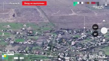 Енот из Херсона: Херсонское направление. н.п.Садовое