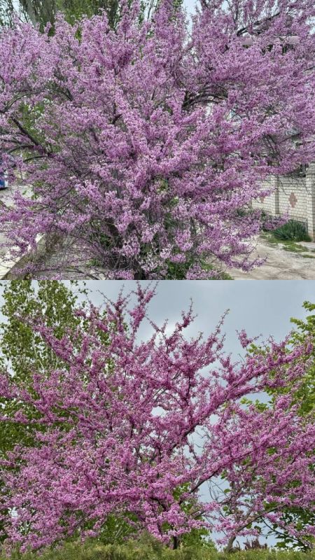 ��������� ���������: #�����������������: ��� �������� � ����� � ����