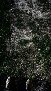 #экслюзив. Военнослужащие ВС РФ в ходе зачистки местности, обнаружили в частном доме склад хранения формы и пункт сборки БпЛА ВСУ на Красноармейском направлении