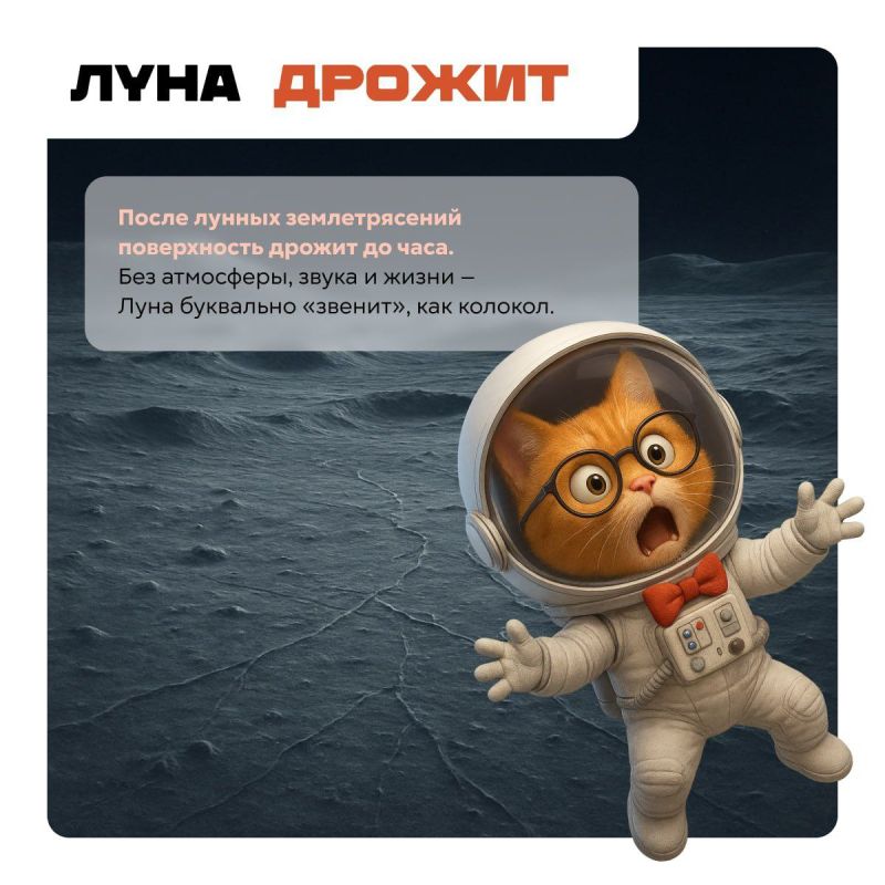 Мир вокруг нас гораздо страннее, чем кажется Мир вокруг нас гораздо страннее, чем кажется