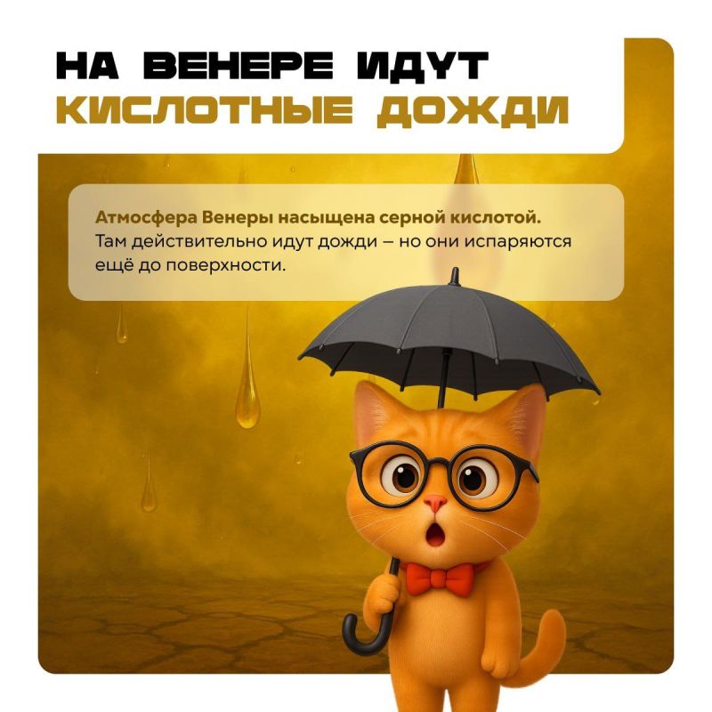 Мир вокруг нас гораздо страннее, чем кажется Мир вокруг нас гораздо страннее, чем кажется