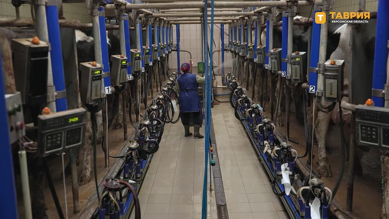 Хозяйство "Асканийское" Каховского округа — в программе "Сделано в Новороссии"