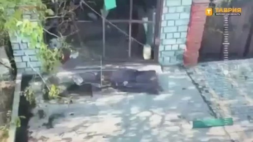   49-   &quot;&quot;     (  )     