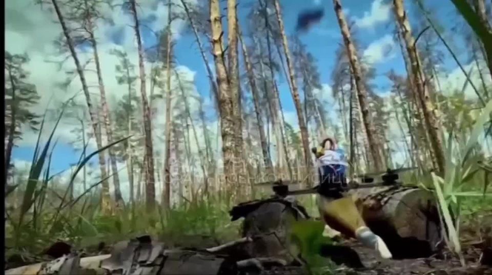 ������� �������: �� ���������� ����������� ���� ���������� ������� ���������� ��������� ������� � ������������� ������ ������ ����������