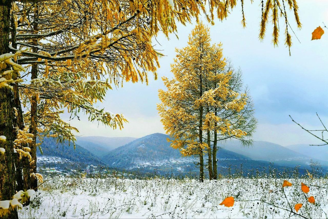 Я с каждым годом убеждаюсь , Что вера в Бога , главный шаг . Шаг совершив