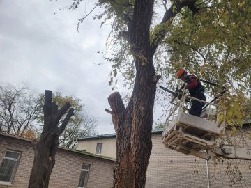 Помогаем при первой возможности