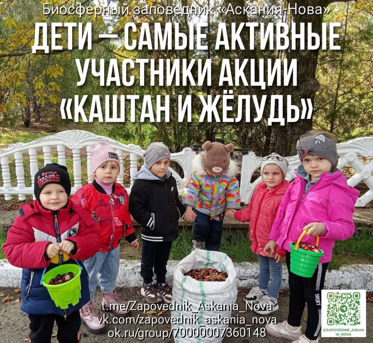 Юные экологи Херсонской области собрали корм для животных "Аскании-Нова"