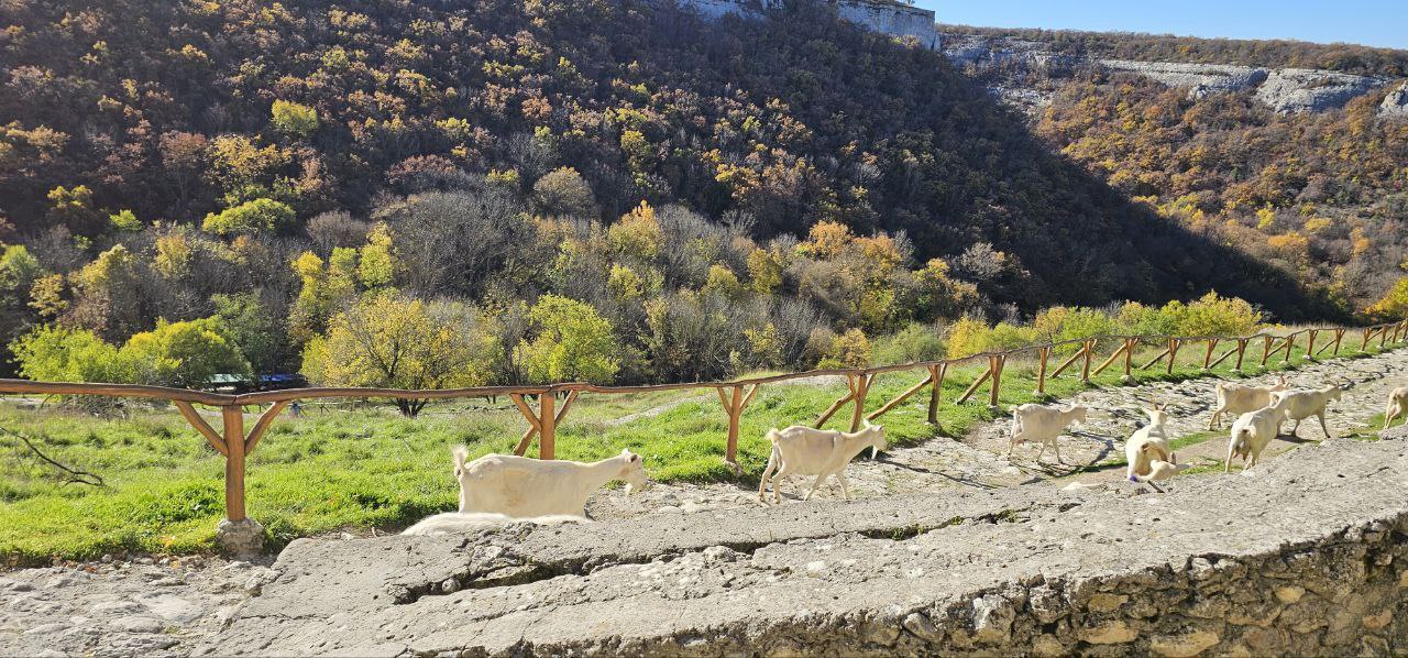 Надежда Бабешко: Осень — самое яркое и прекрасное время года Надежда Бабешко: Осень — самое яркое и прекрасное время года