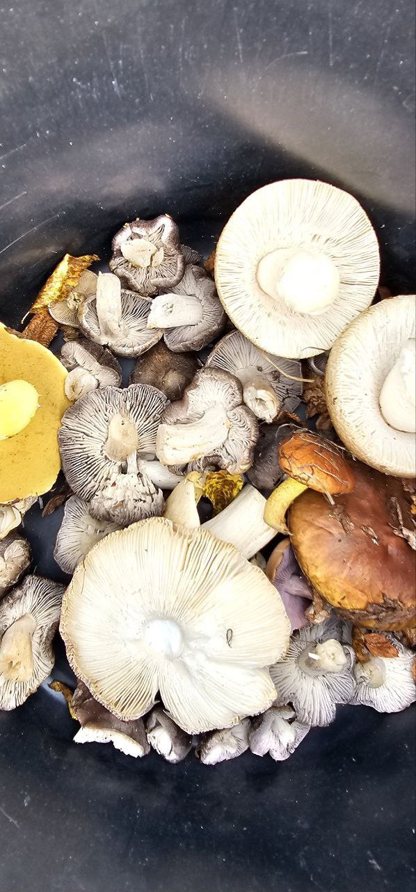 Надежда Бабешко: Осень — самое яркое и прекрасное время года Надежда Бабешко: Осень — самое яркое и прекрасное время года