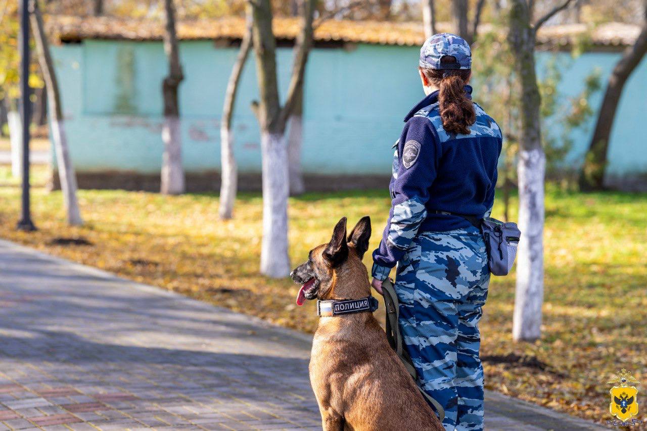 В Херсонской области полицейские обеспечили охрану общественного порядка во время празднования Дня народного единства В Херсонской области полицейские обеспечили охрану общественного порядка во время празднования Дня народного единства