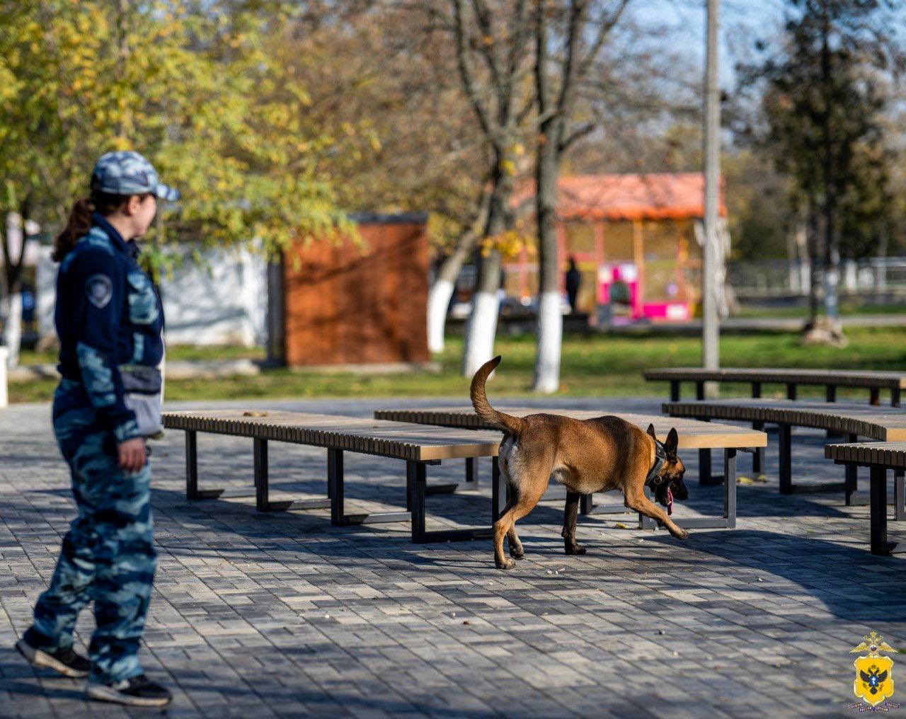 В Херсонской области полицейские обеспечили охрану общественного порядка во время празднования Дня народного единства В Херсонской области полицейские обеспечили охрану общественного порядка во время празднования Дня народного единства
