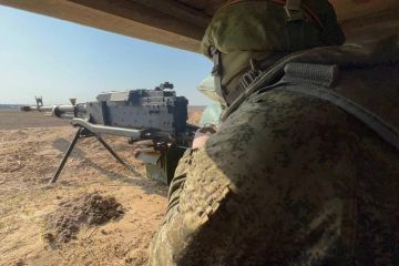 ВС РФ нанесли удары по ВСУ у Понятовки и Антоновки Херсонской области